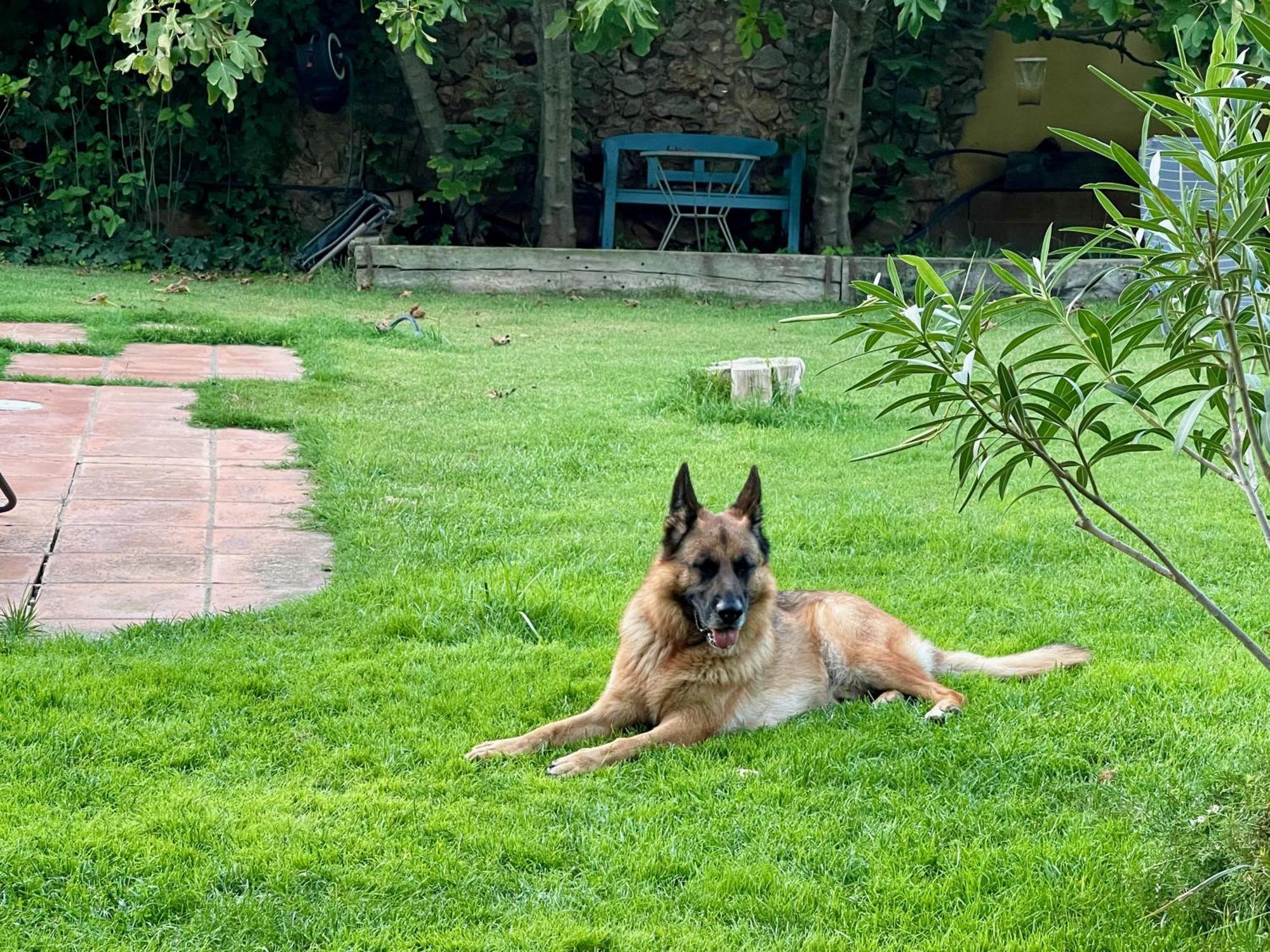 Вилла Santa Caterina - Dog Friendly With Garden Sobrestany Экстерьер фото